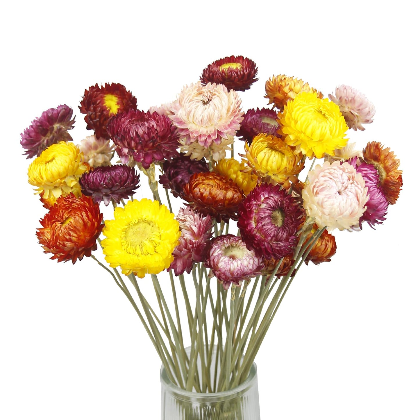 CITYES 20 Pcs Natural Dried Daisy Flowers Bouquet Dried Flower Multicolor Daisies Dried Sunflowers Chrysanthemum Dry Flower with Stem for Wedding Farmhouse Table Vase Decor Home DIY Flower Arrangement