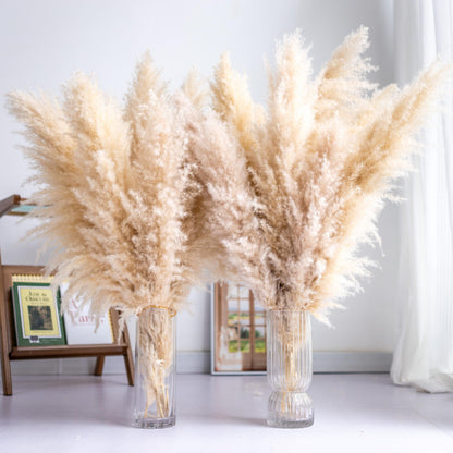 Tall Pampas Grass 10PCS | Boho Decor | Natural Home Decor Phragmites | Dried Flowers | Floral Arrangements | Home Decorations